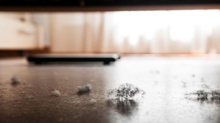 Toxins at home? Dust may harbor harmful chemicals 